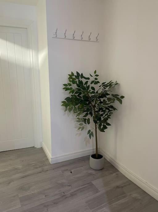 בלפסט Modern 1-Bed Apartment מראה חיצוני תמונה